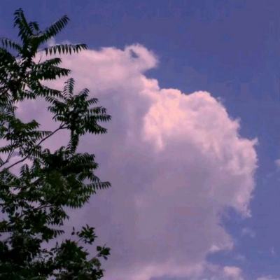 小森生活b服下载